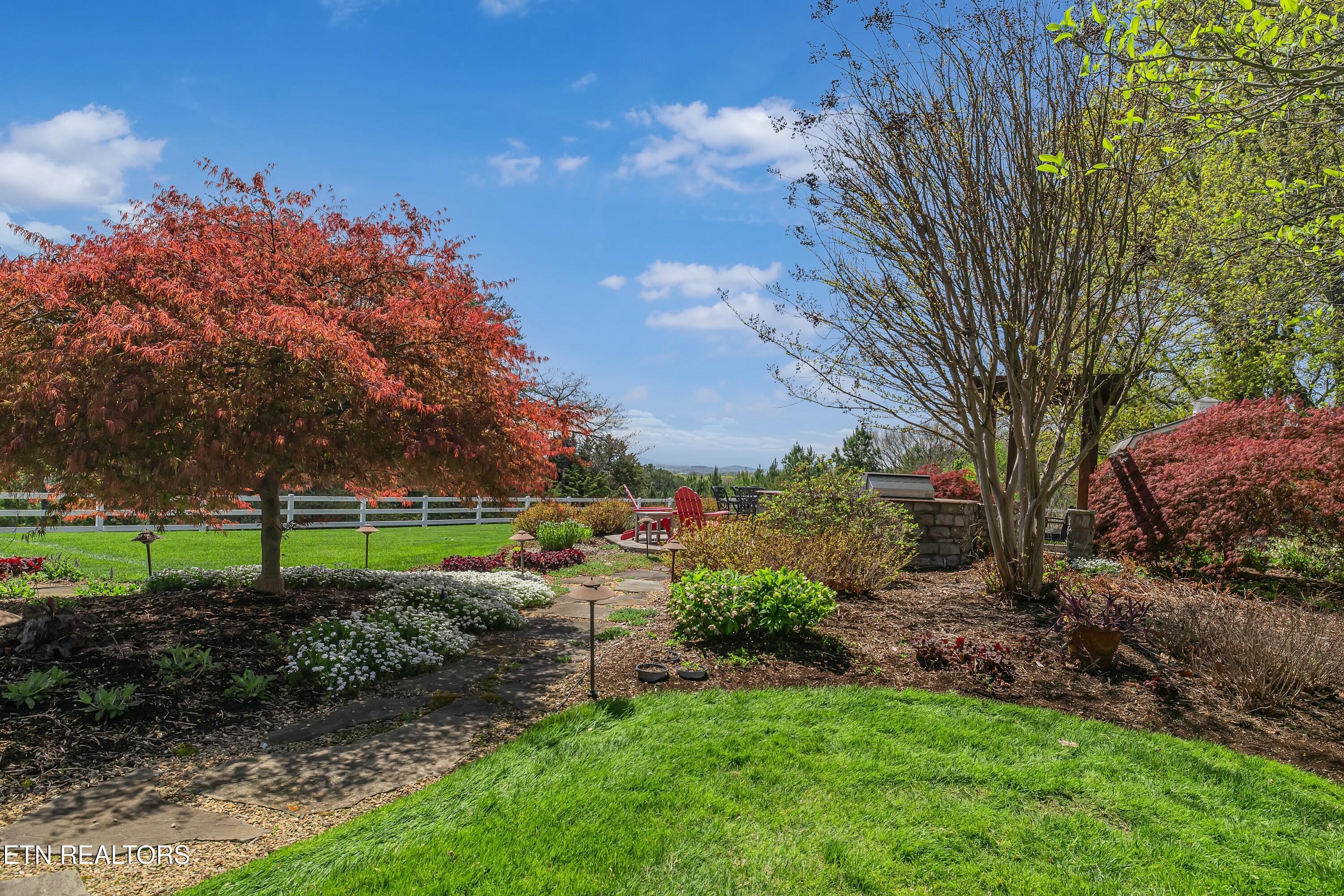 782 Wilson Hale Road Morristown, TN 37813 - Photo 45 of 60 tempImage04MF8q