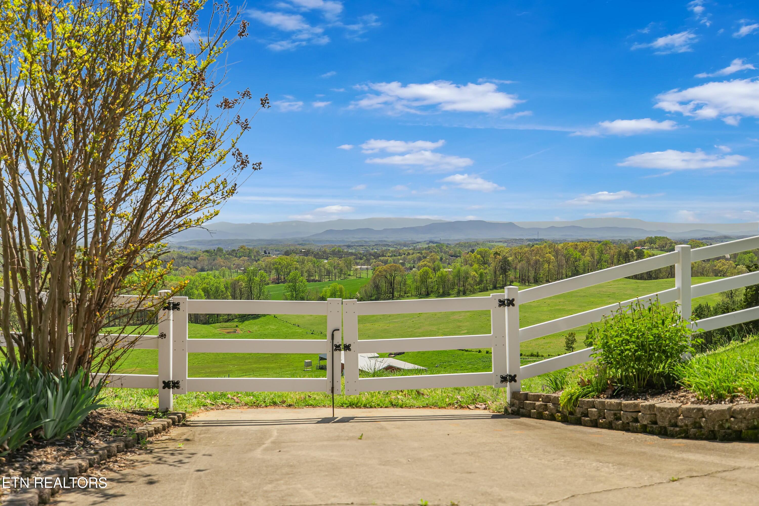 782 Wilson Hale Road Morristown, TN 37813 - Photo 51 of 60 tempImagebXBIgD