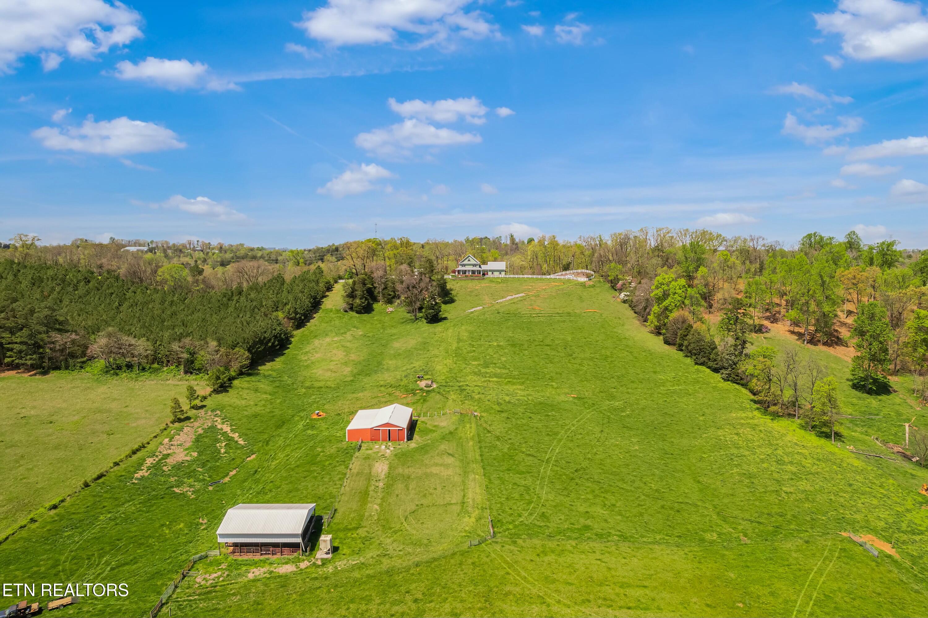 782 Wilson Hale Road Morristown, TN 37813 - Photo 53 of 60 tempImageCrBHAn