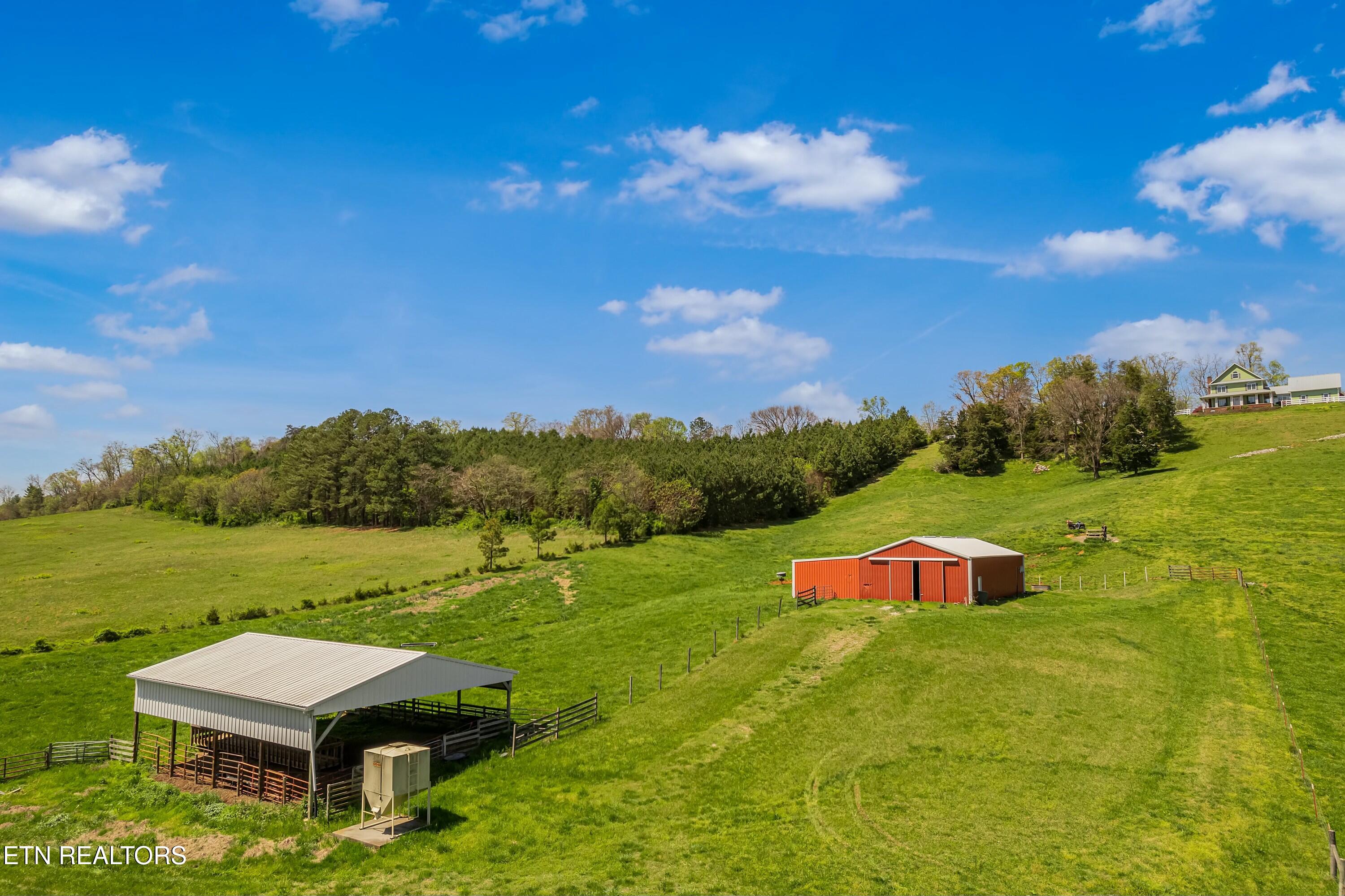 782 Wilson Hale Road Morristown, TN 37813 - Photo 54 of 60 tempImageSAHf16