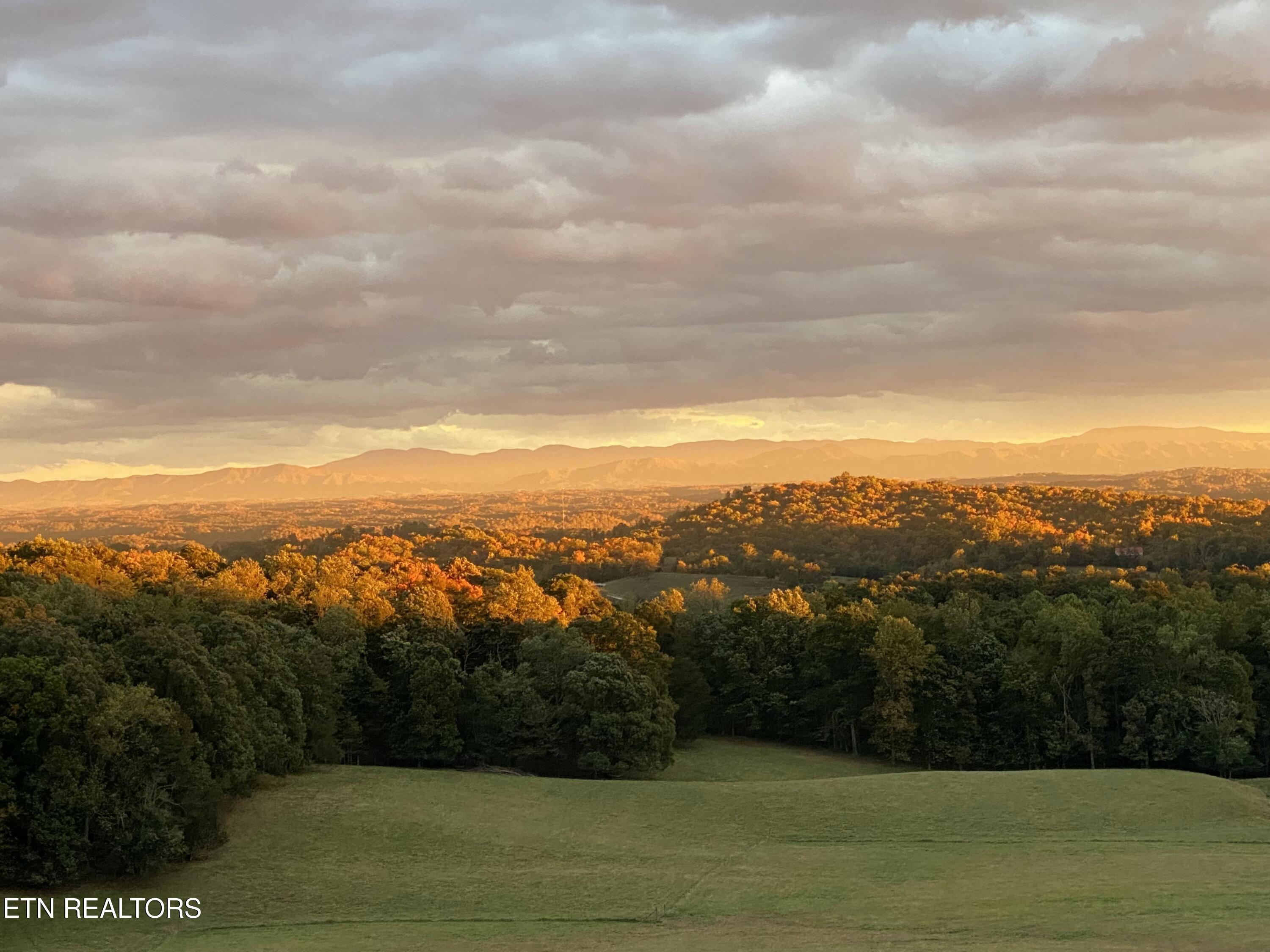 782 Wilson Hale Road Morristown, TN 37813 - Photo 60 of 60 tempImageiER3Bh