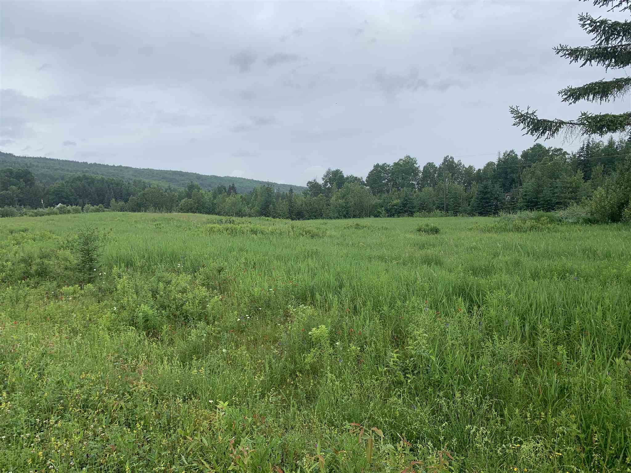 Lot 9 Nash Road Colebrook, NH 03576 - Photo 1 of 3
