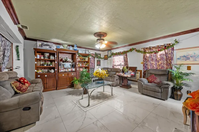 a living room with furniture and a potted plant