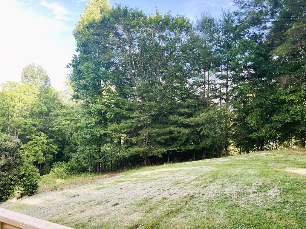403 Hilltown Road Fries, VA 24330 - Photo 8 of 36 Gallery Image 8