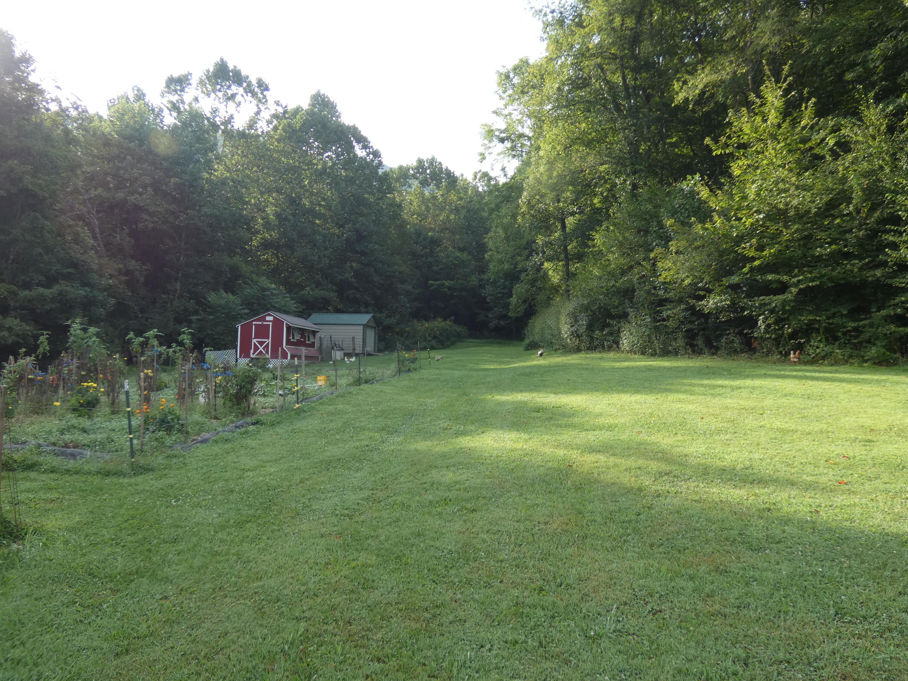 27518 Poor Valley Road Saltville, VA 24370 - Photo 54 of 71 P1070126