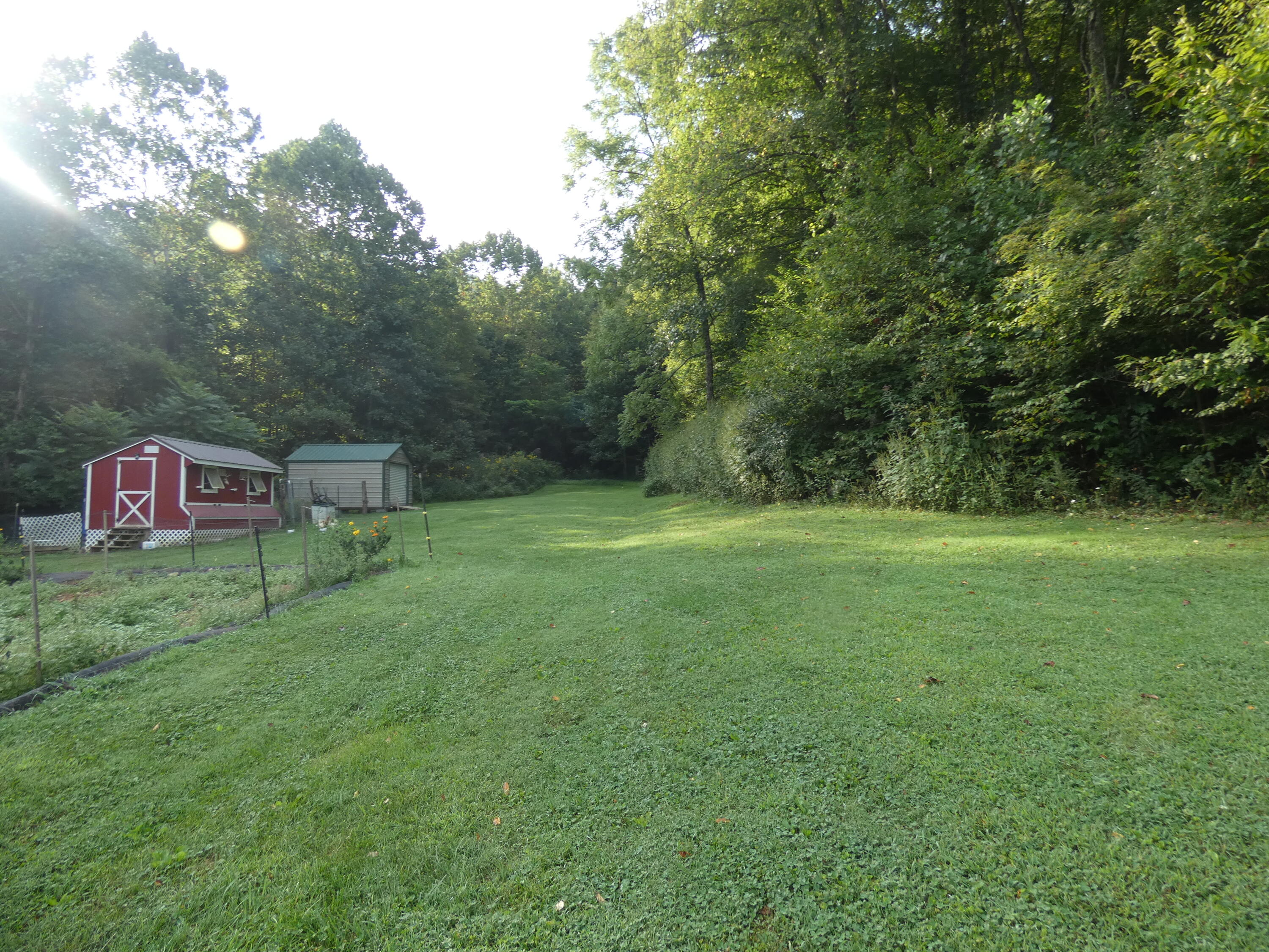 27518 Poor Valley Road Saltville, VA 24370 - Photo 56 of 71 P1070129