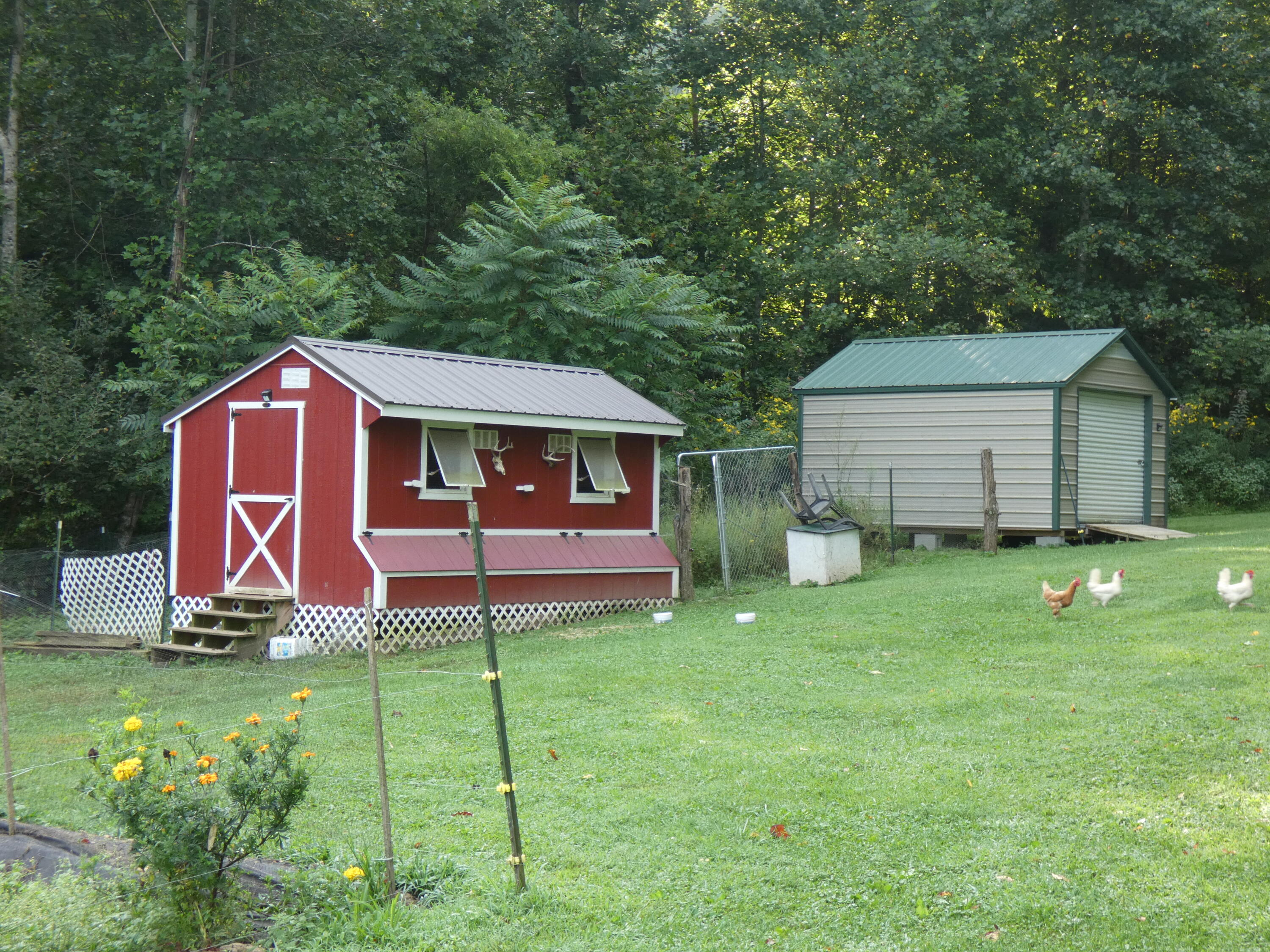 27518 Poor Valley Road Saltville, VA 24370 - Photo 57 of 71 P1070130