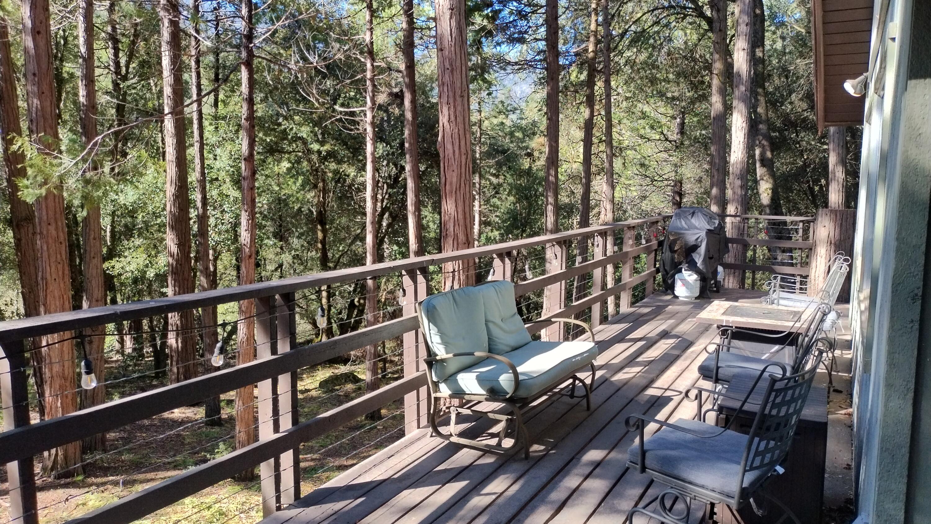1693 Forest Rte 21S94 Camp Nelson, CA 93265 - Photo 60 of 86 52-Back deck