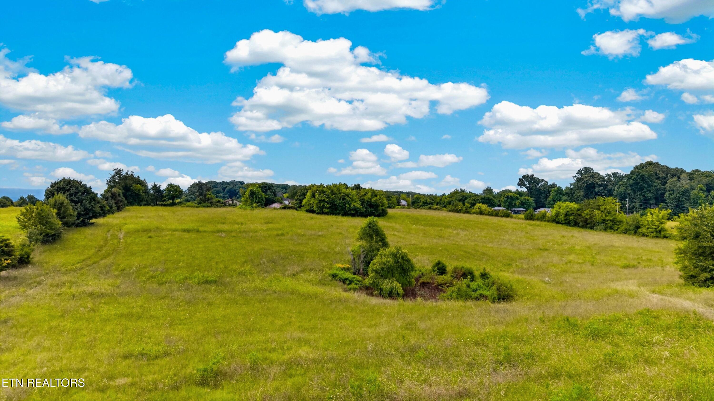452 Wells Spring Road Dandridge, TN 37725 - Photo 12 of 16 008-452WellsSpringRoad-Dandridge-TN