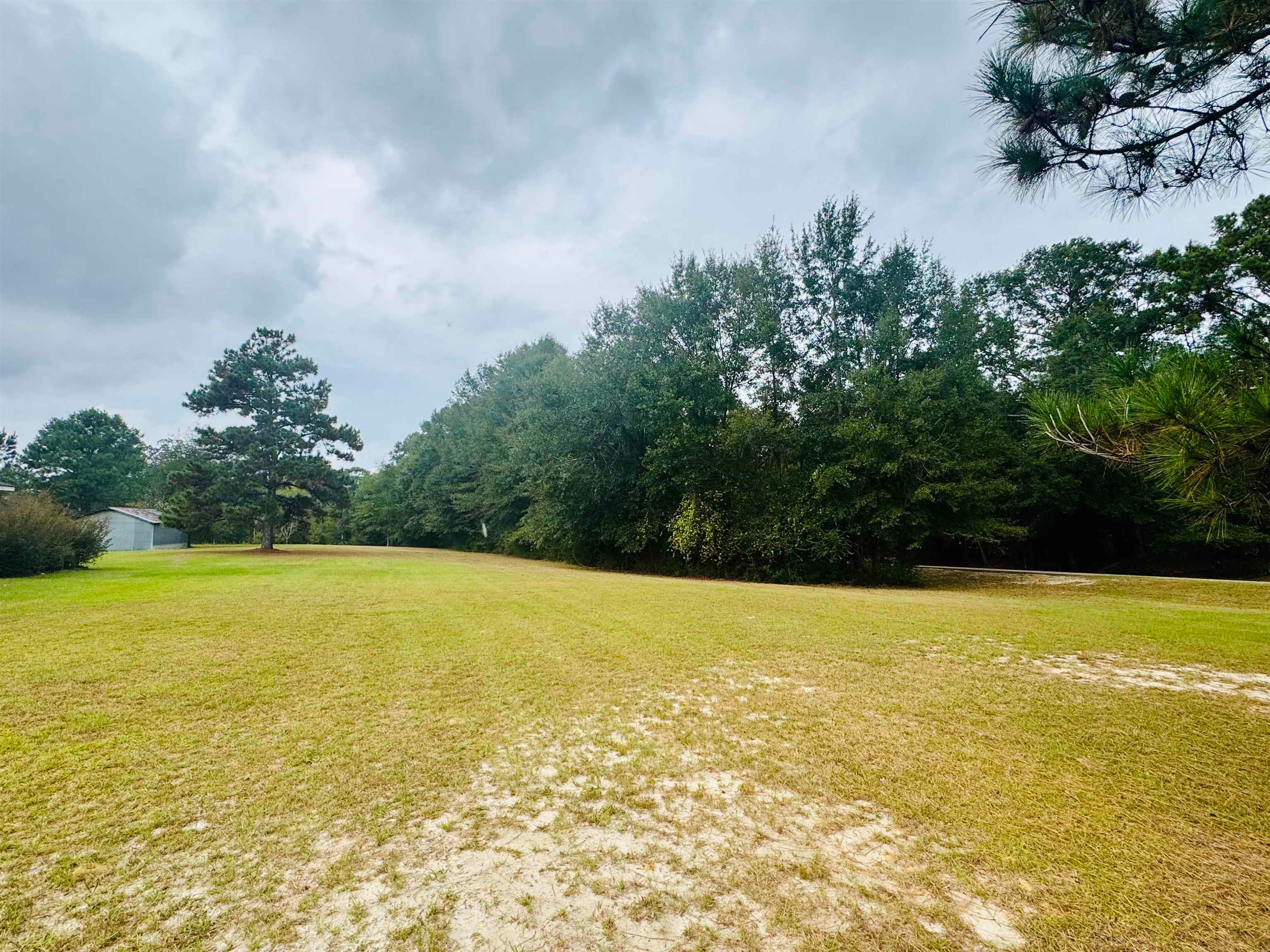 22737 Fleeta Road Opp, AL 36467 - Photo 15 of 37 Gallery Image 15