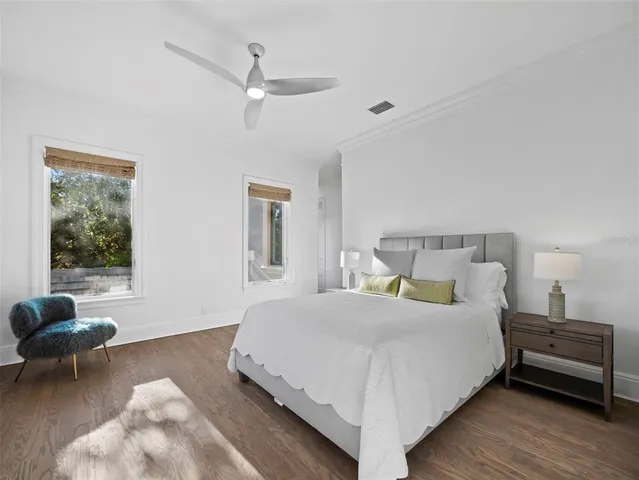 a picture of a yard with plants