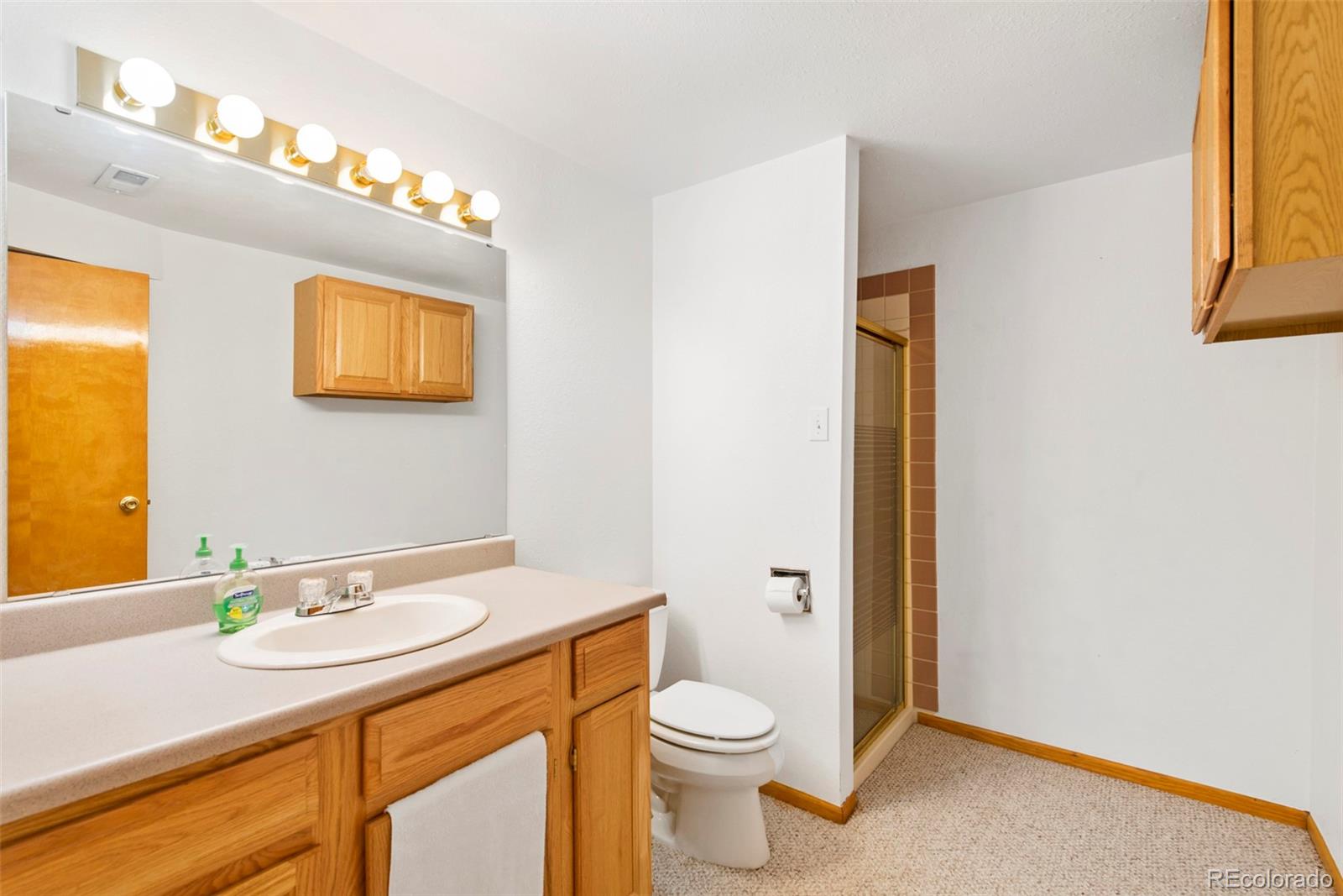 10056 Silver Maple Road Highlands Ranch, CO 80129 - Photo 26 of 33 Gallery Image 26