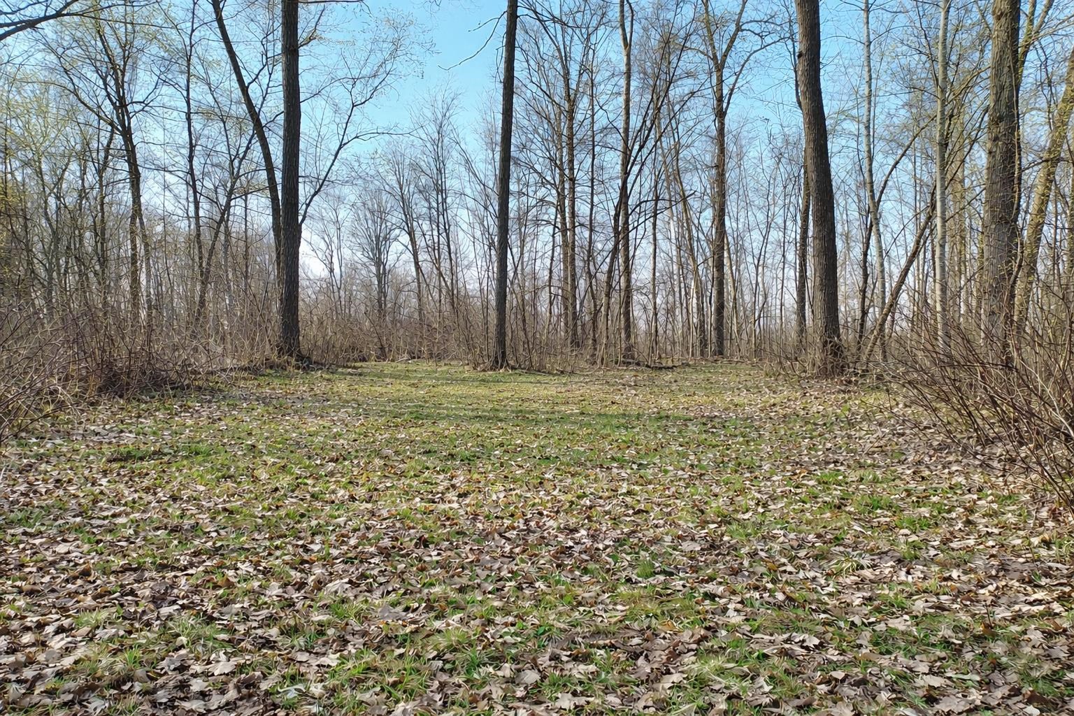 Lot 2 1/2 Barron, WI 54812 - Photo 2 of 8
