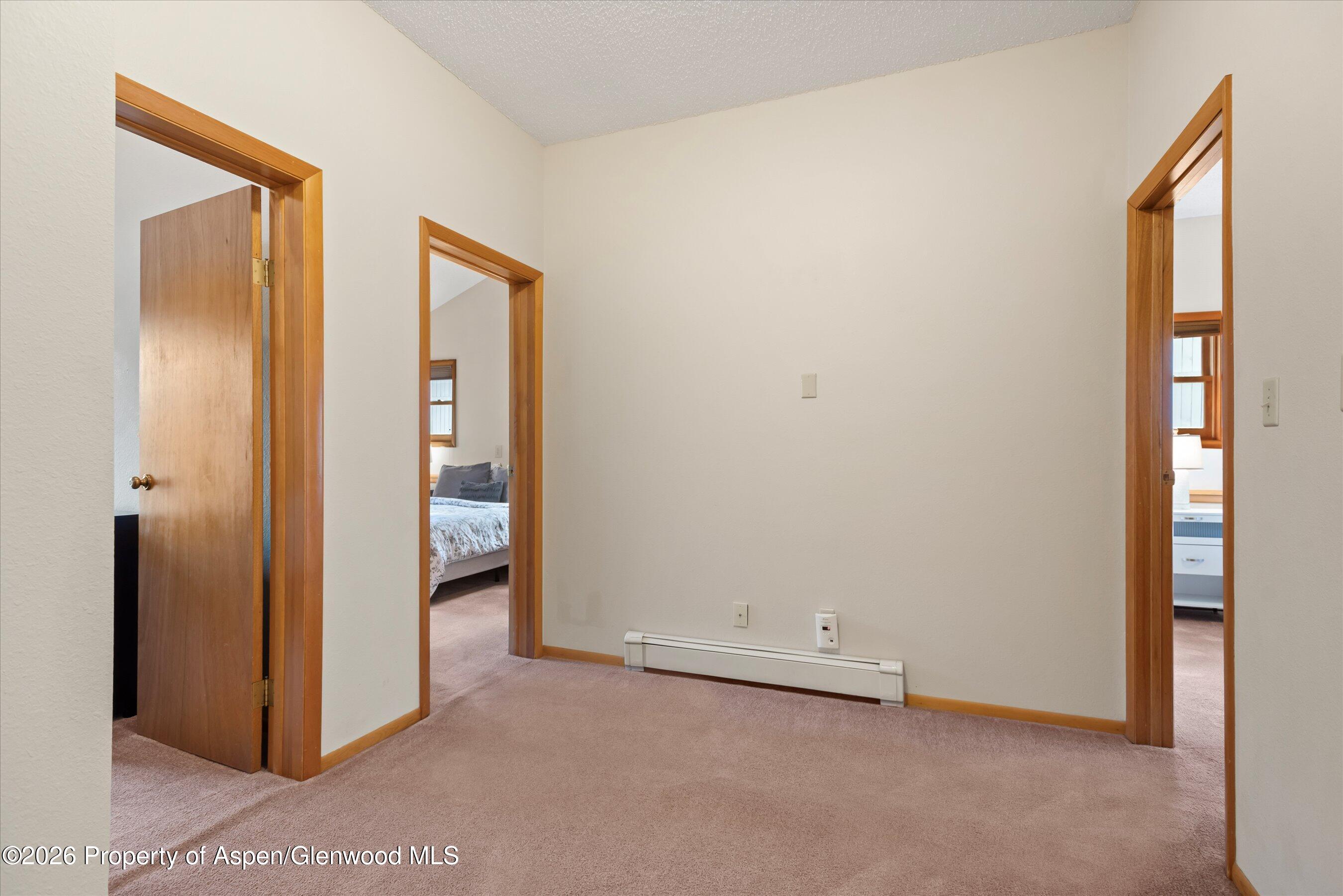 53 Spruce Street, Unit S 1 AND 2 Aspen, CO 81611 - Photo 55 of 67 26-26-536SpruceSt_250429026
