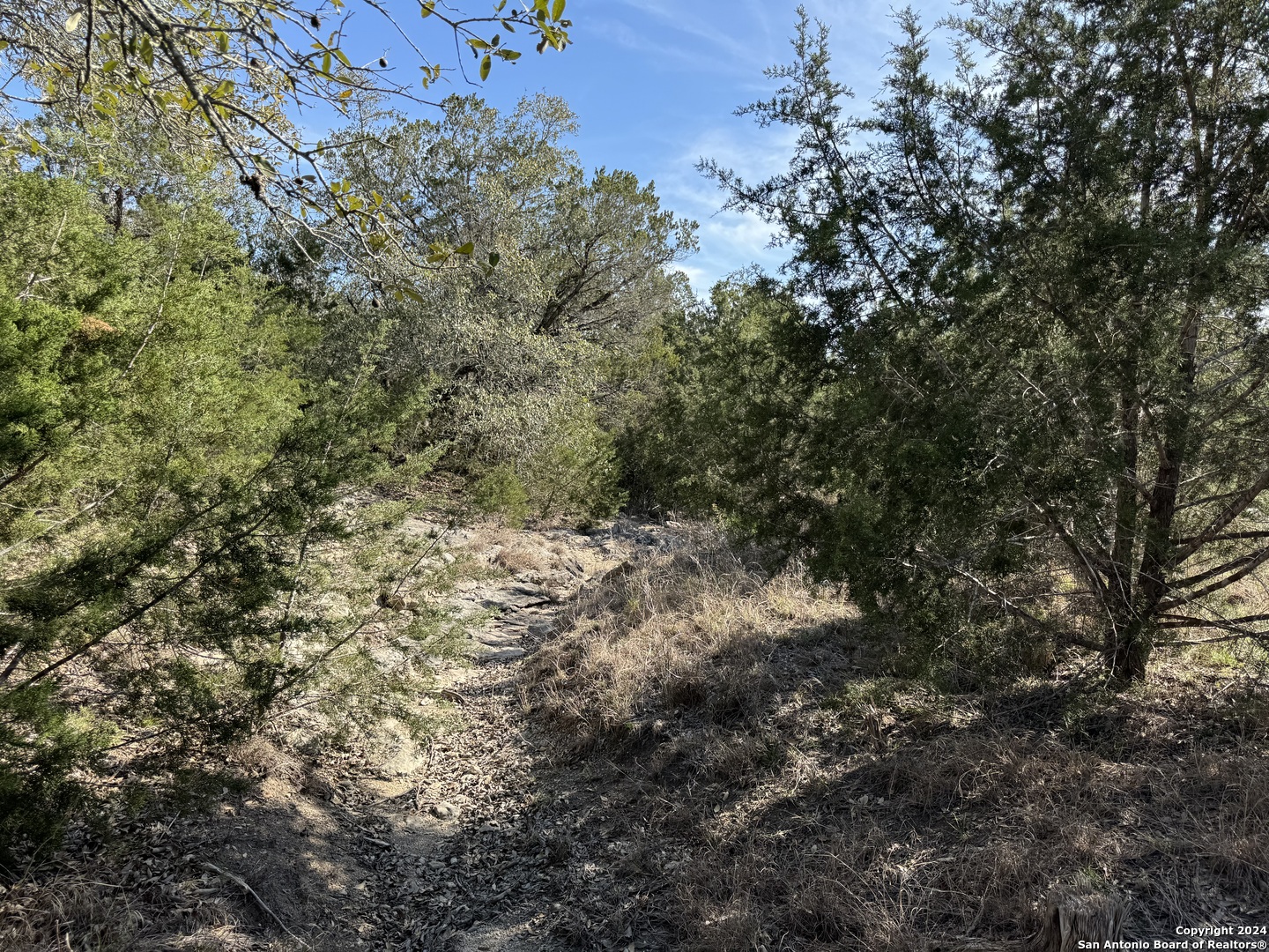 129 Stallion Estates Drive Spring Branch, TX 78070 - Photo 2 of 12