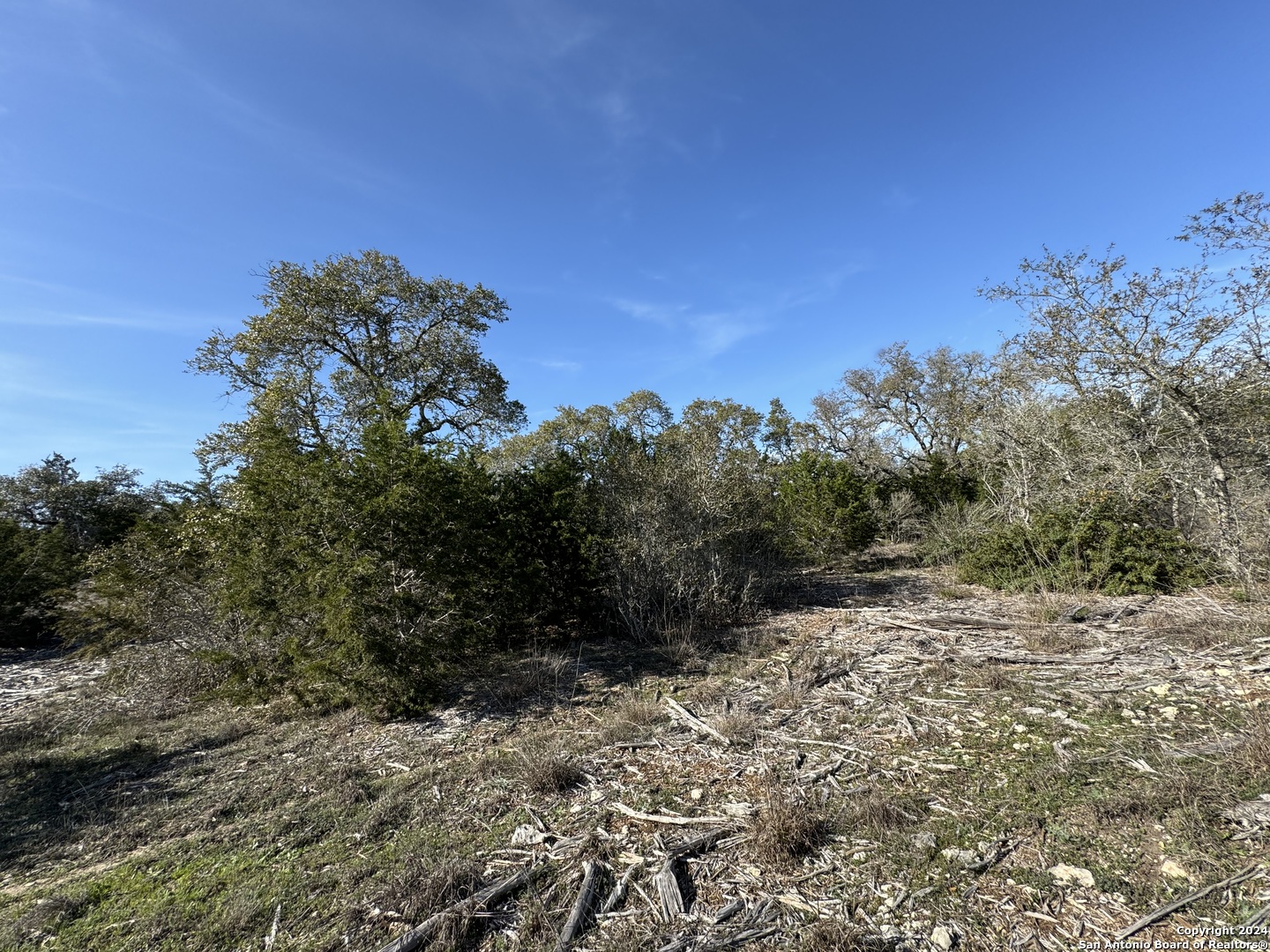 129 Stallion Estates Drive Spring Branch, TX 78070 - Photo 4 of 12