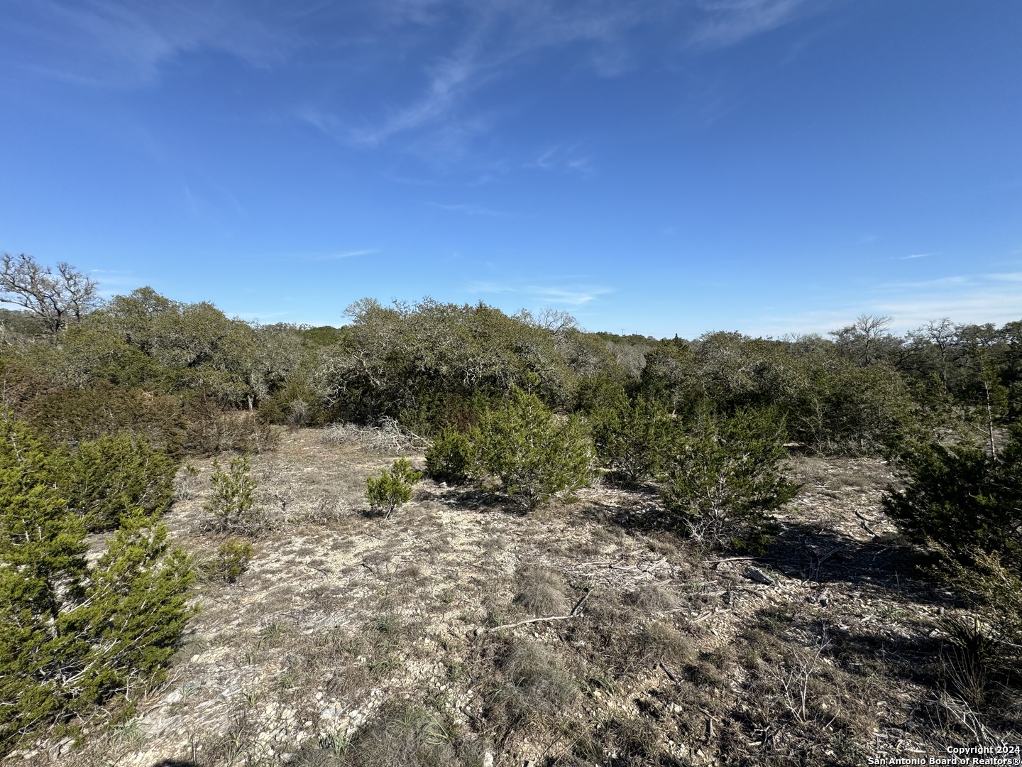 129 Stallion Estates Drive Spring Branch, TX 78070 - Photo 5 of 12