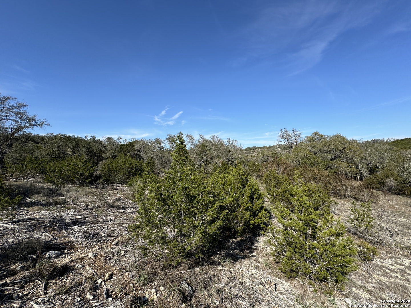 129 Stallion Estates Drive Spring Branch, TX 78070 - Photo 6 of 12