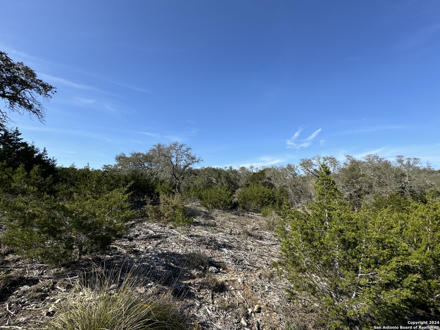 129 Stallion Estates Drive Spring Branch, TX 78070 - Photo 8 of 12