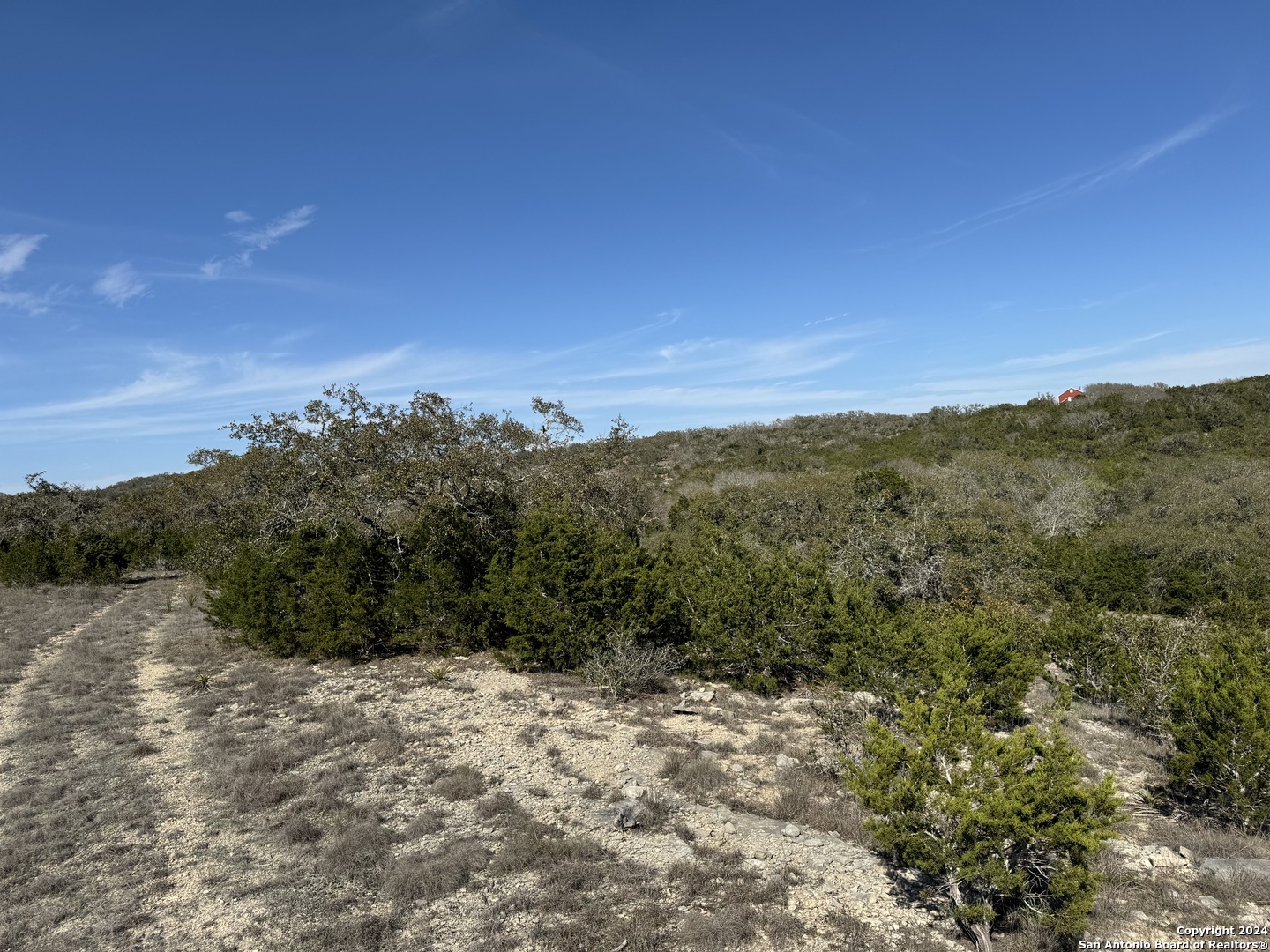 129 Stallion Estates Drive Spring Branch, TX 78070 - Photo 10 of 12