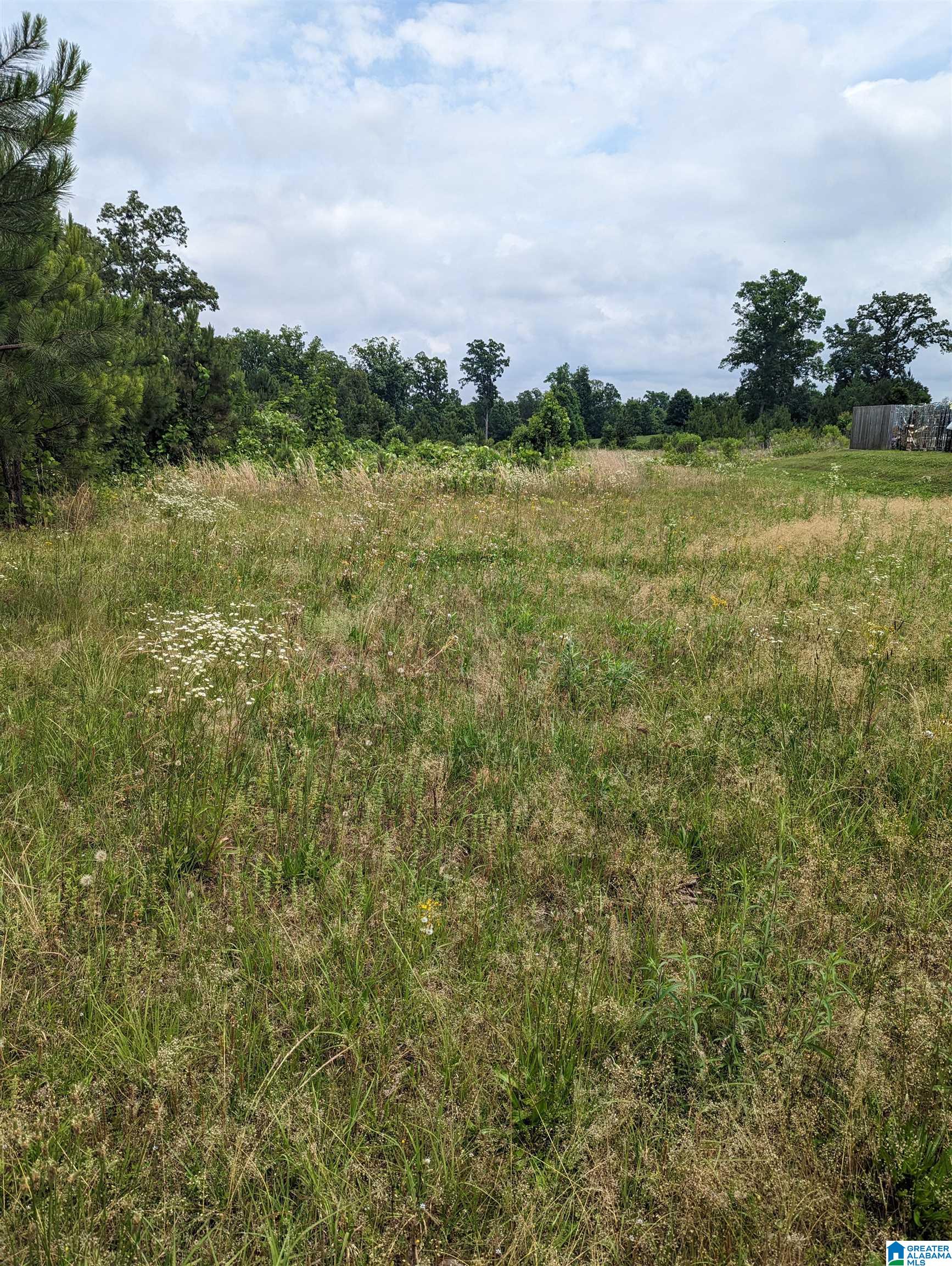 1189 Alliance Road, Unit 2 Bessemer, AL 35023 - Photo 1 of 1