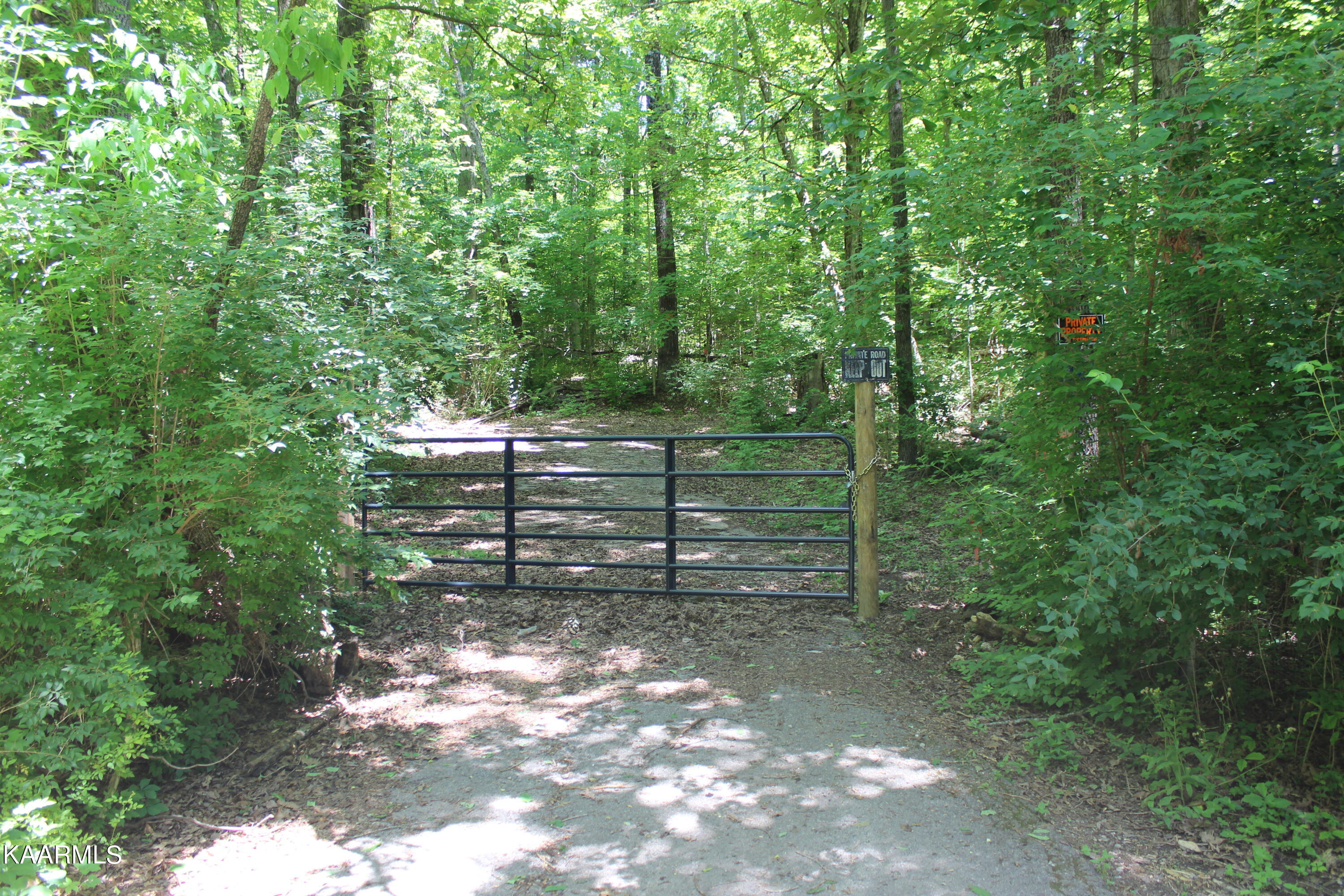 Orabella Road Knoxville, TN 37921 - Photo 1 of 4 IMG_0219
