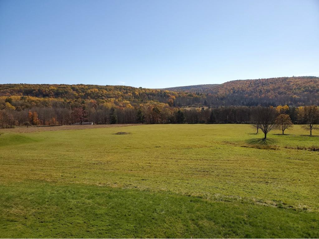62 Horan Road Vestal, NY 13850 - Photo 32 of 36 Gallery Image 32