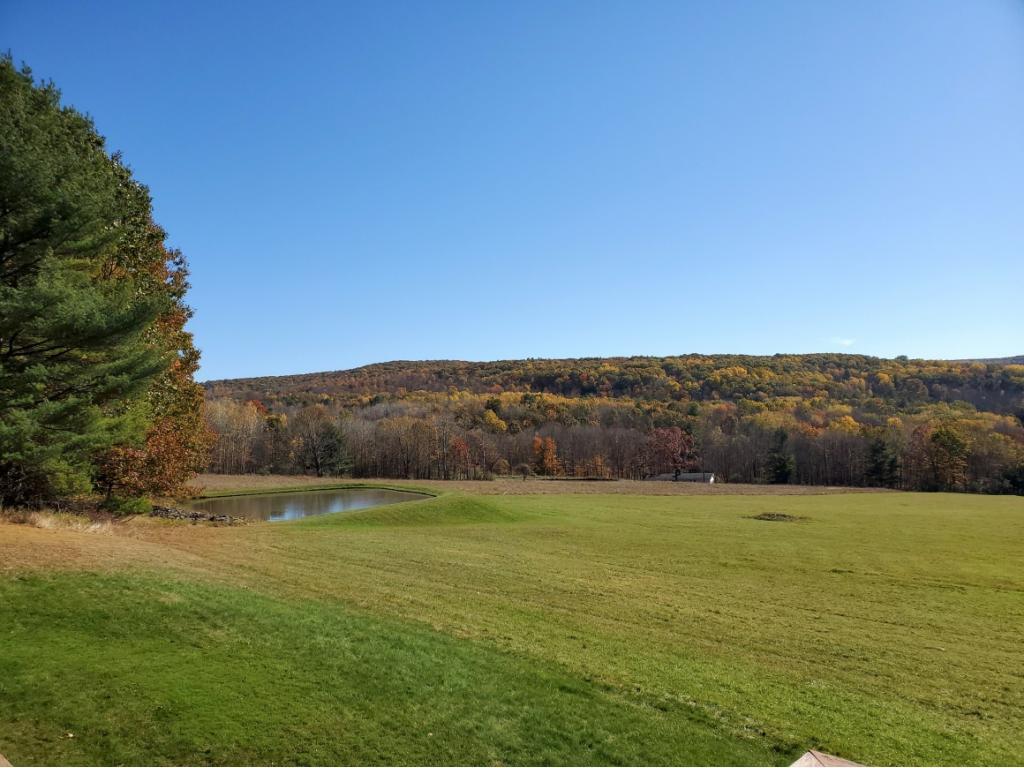 62 Horan Road Vestal, NY 13850 - Photo 34 of 36 Gallery Image 34