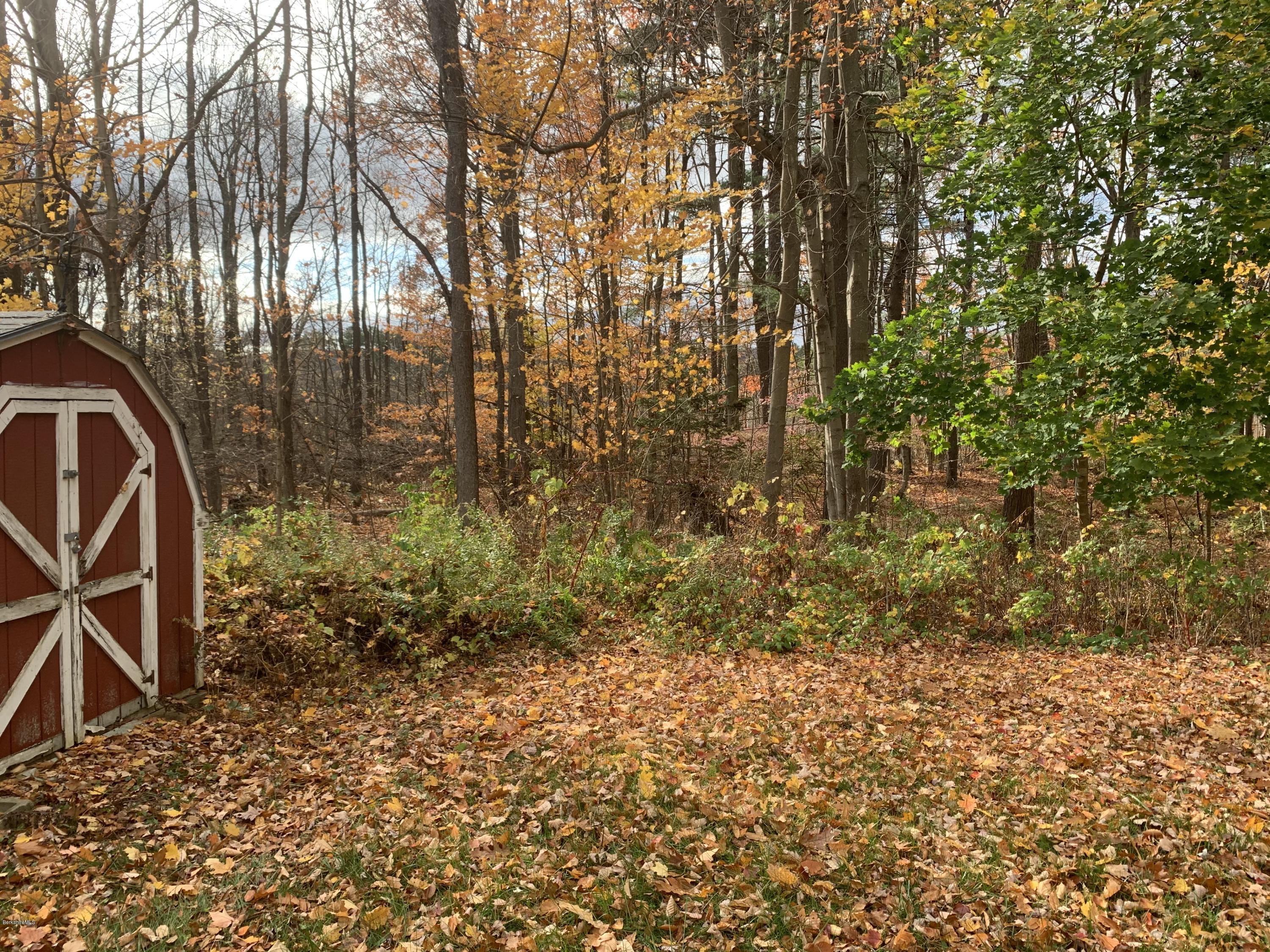 163 Cheshire Road Pittsfield, MA 01201 - Photo 13 of 45 Shed and woods