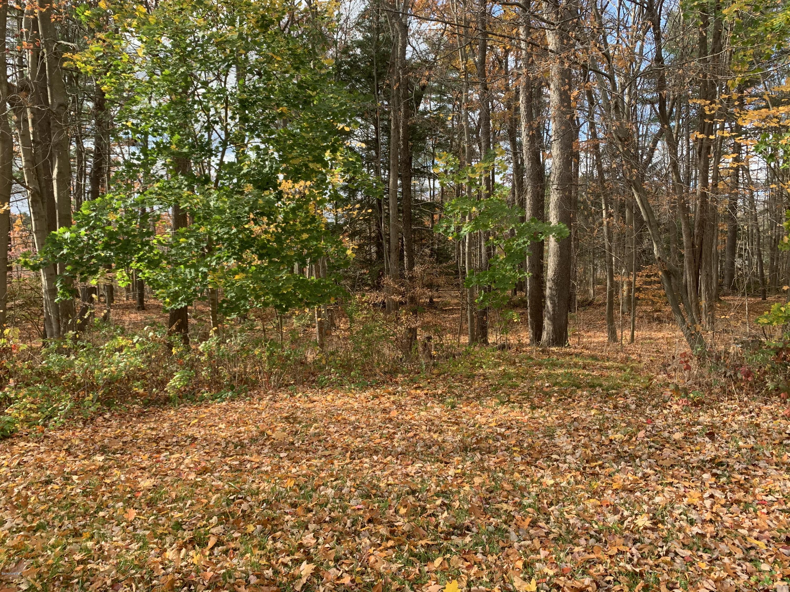 163 Cheshire Road Pittsfield, MA 01201 - Photo 14 of 45 Woods