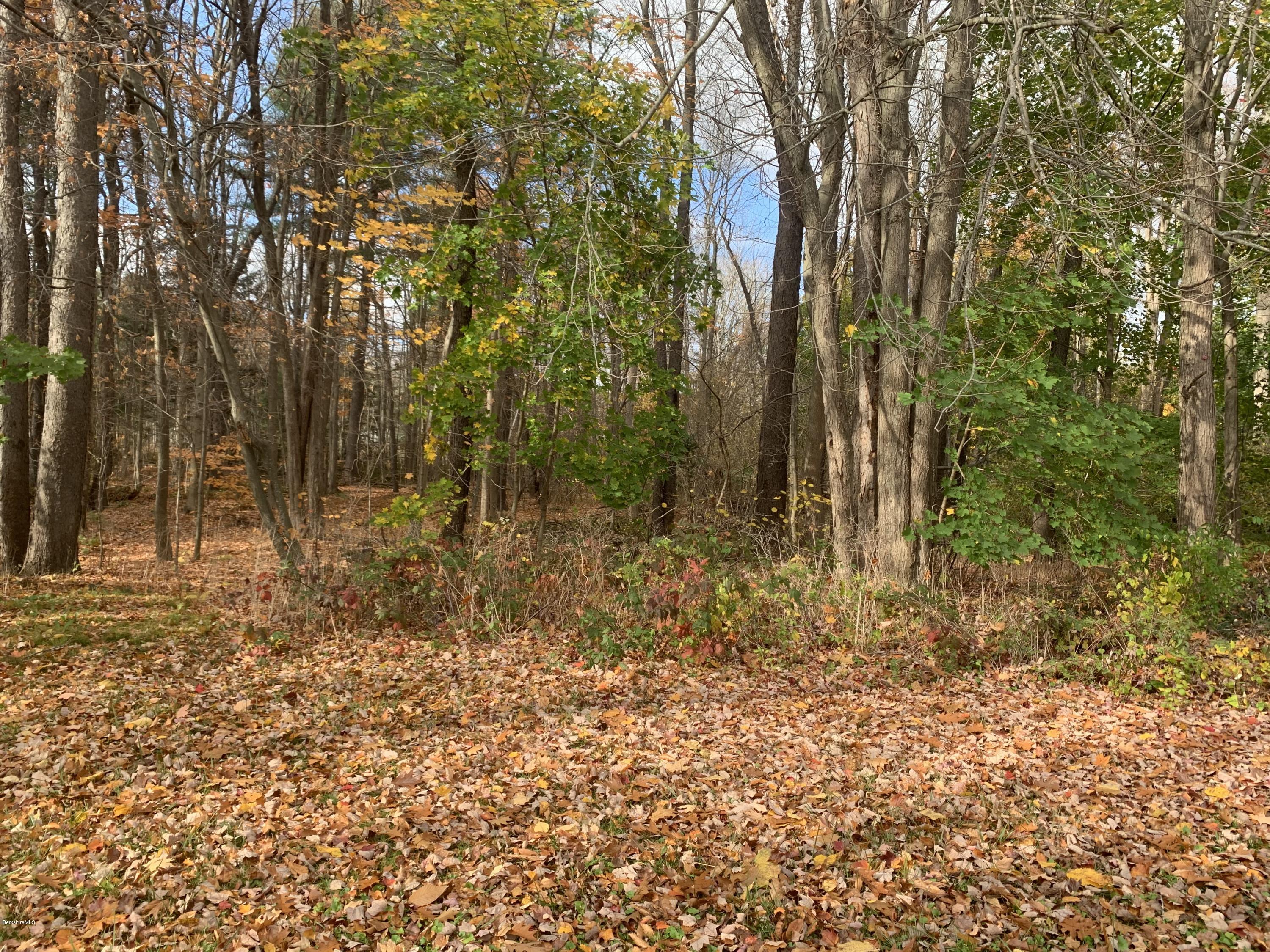 163 Cheshire Road Pittsfield, MA 01201 - Photo 15 of 45 More woods