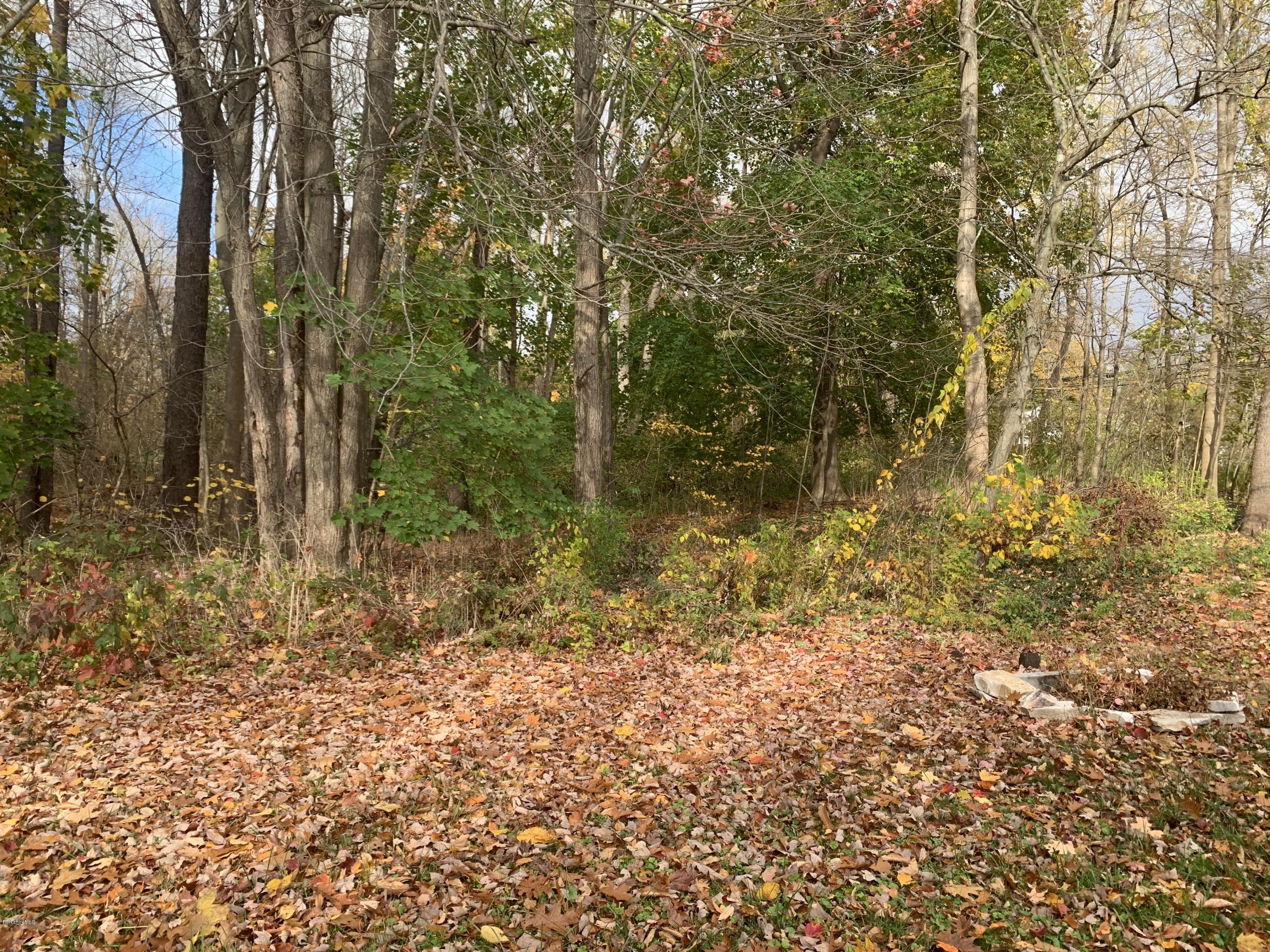 163 Cheshire Road Pittsfield, MA 01201 - Photo 16 of 45 And more woods