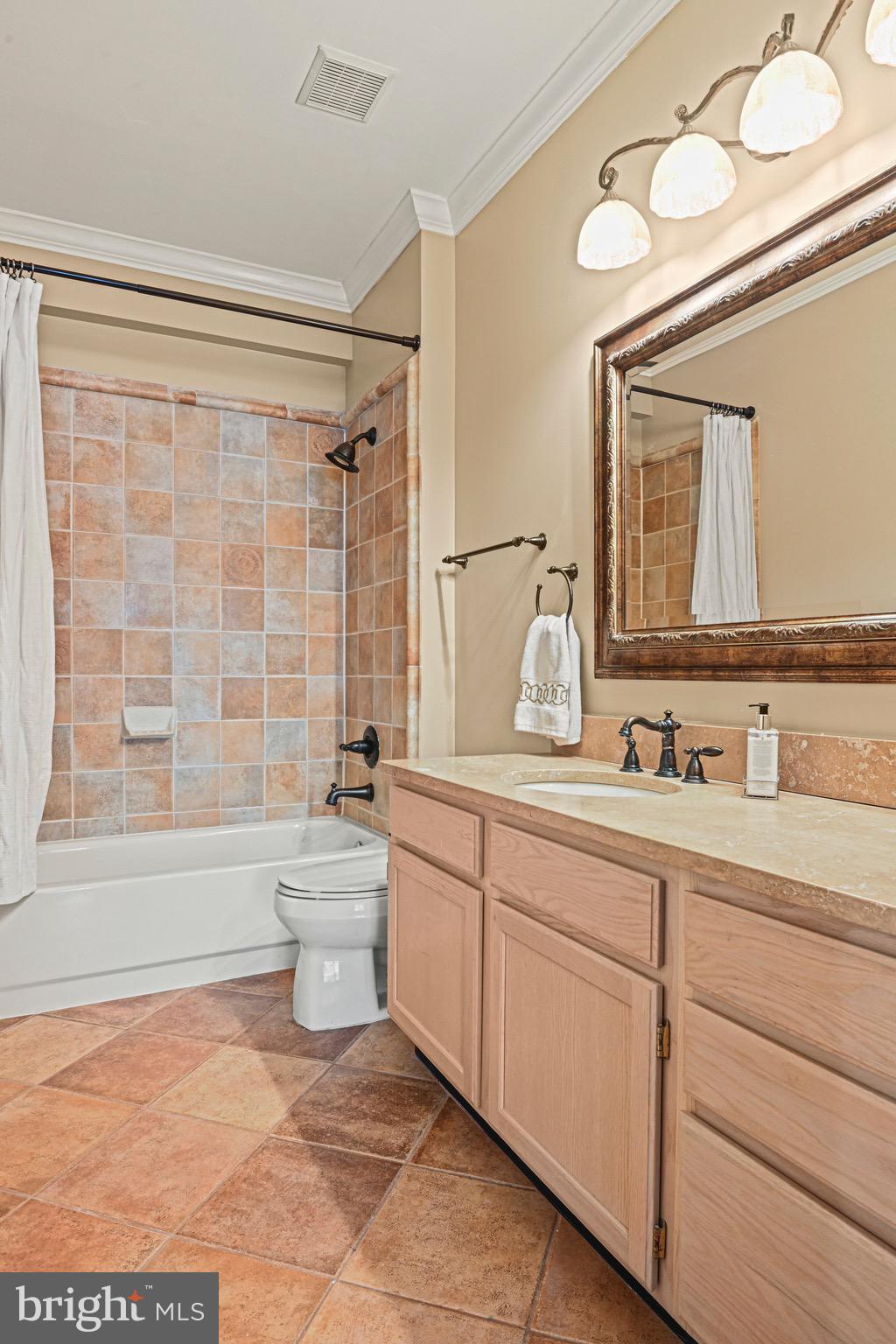 1701 Lake Shore Crest Drive, Unit 24 Reston, VA 20190 - Photo 21 of 33 a bathroom with a sink a toilet and a bathtub