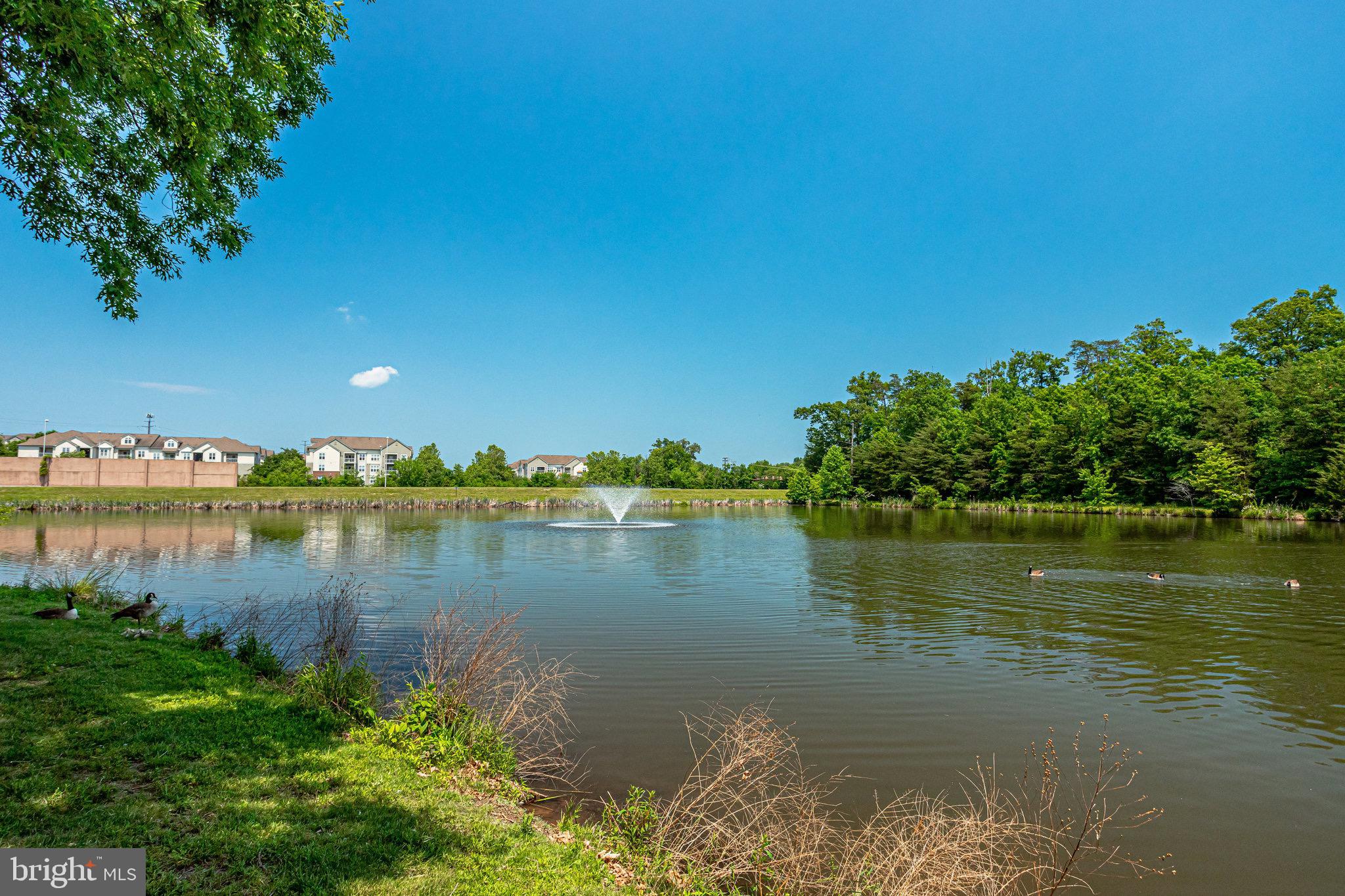 1701 Lake Shore Crest Drive, Unit 24 Reston, VA 20190 - Photo 33 of 43 a view of a lake with houses in the back