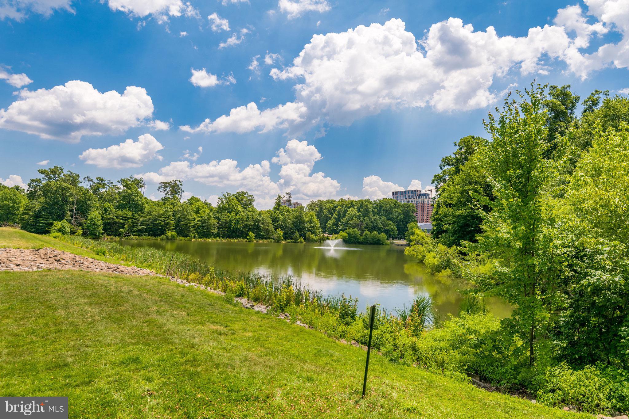 1701 Lake Shore Crest Drive, Unit 24 Reston, VA 20190 - Photo 34 of 43 a view of a lake with houses in the background