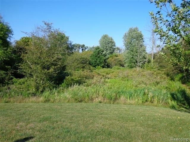 57800 Omo Road Ray, MI 48096 - Photo 9 of 9 Back View... (Small).JPG