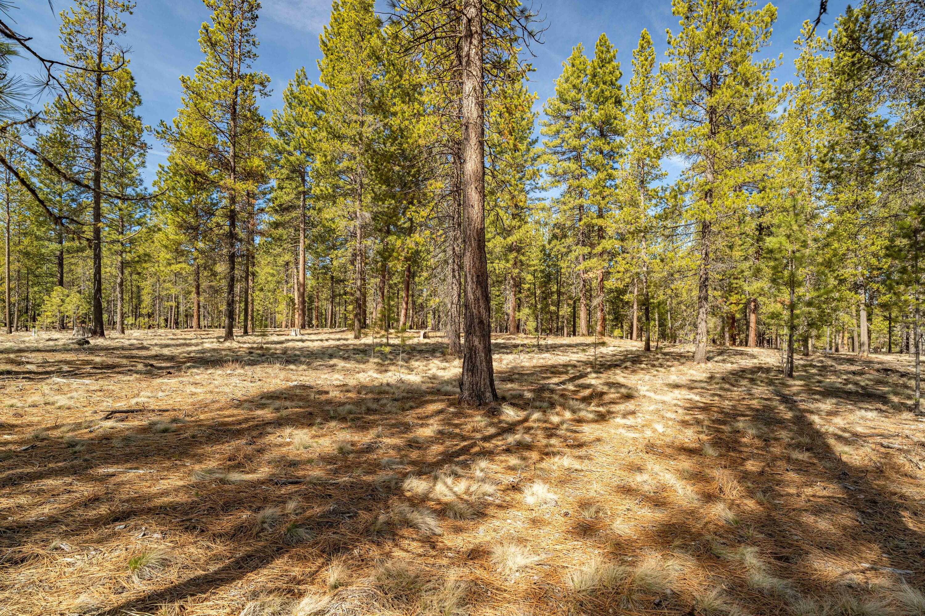 Cottontail Loop Bend, Unit 470 Bend, OR 97707 - Photo 6 of 20 DSC07602-HDR