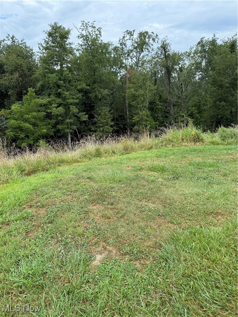 Terra Ridge Lane Dillonvale, OH 43917 - Photo 2 of 4 View of woods