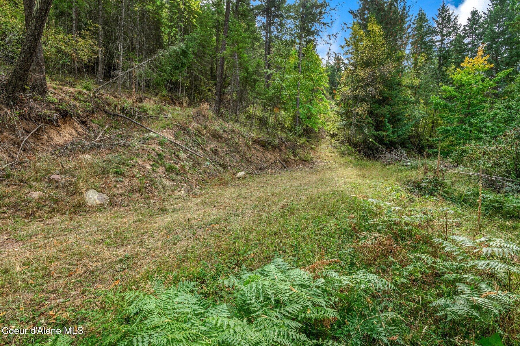818 Silver Creek Road Clark Fork, ID 83811 - Photo 40 of 45 Hiking