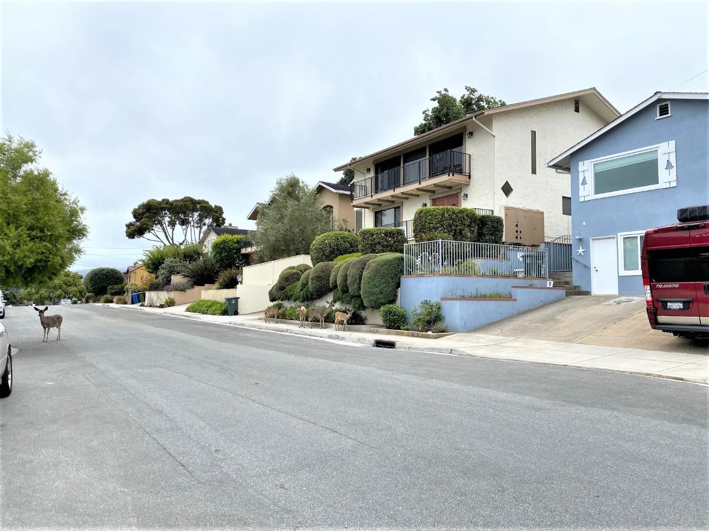 621 McClellan Avenue, Unit STUDIO Monterey, CA 93940 - Photo 9 of 38