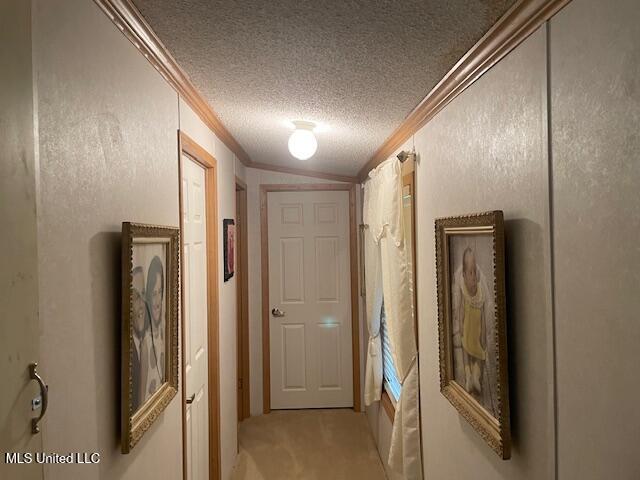 198 Stallings Bridge Road Tylertown, MS 39667 - Photo 15 of 18 IMG_3831