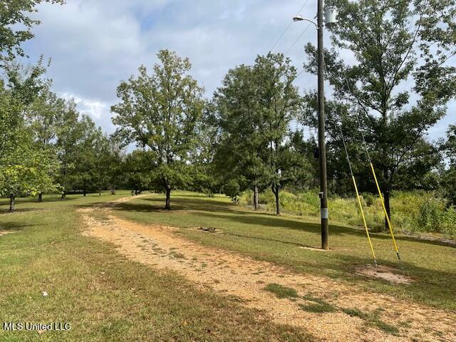 198 Stallings Bridge Road Tylertown, MS 39667 - Photo 2 of 18 Front view
