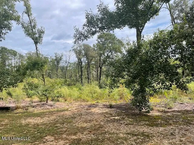 $144,500 | 198 Stallings Bridge Road, Tylertown, MS 39667