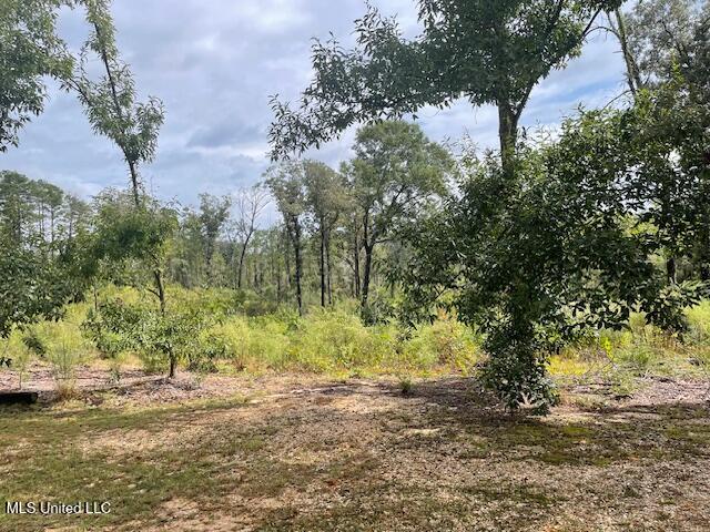 198 Stallings Bridge Road Tylertown, MS 39667 - Photo 5 of 18 IMG_3840