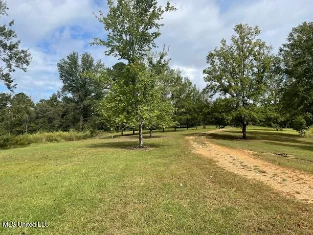 $144,500 | 198 Stallings Bridge Road, Tylertown, MS 39667