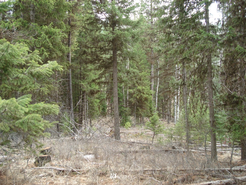 0 Trout Creek Road Republic, WA 99166 - Photo 1 of 1