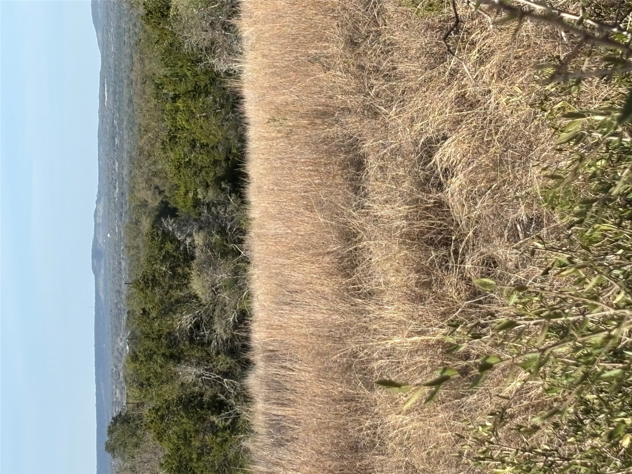 768 Tiswin Trail Blanco, TX 78606 - Photo 11 of 14 a view of lake