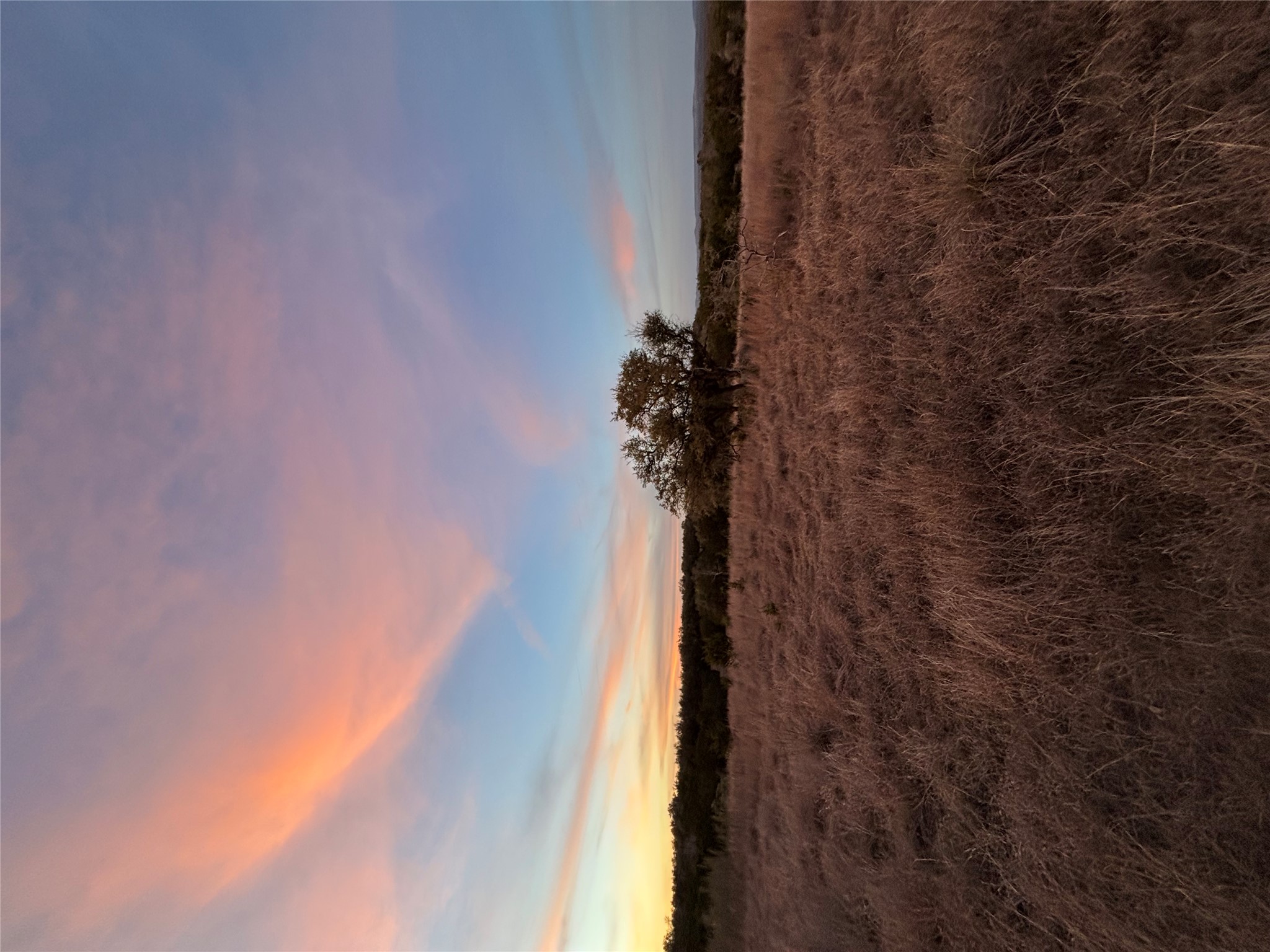 768 Tiswin Trail Blanco, TX 78606 - Photo 14 of 14 a view of an ocean beach