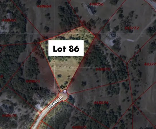 $289,000 | 768 Tiswin Trail, Blanco, TX 78606