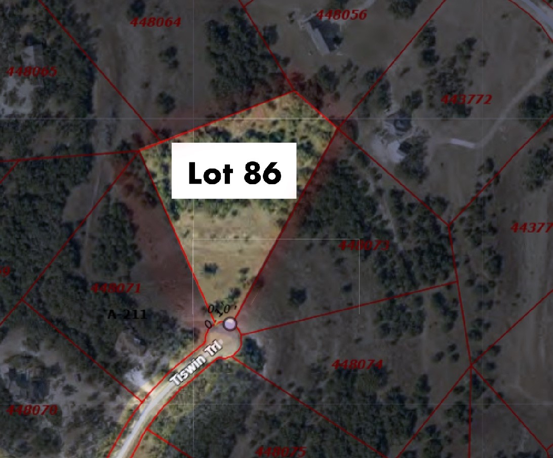 768 Tiswin Trail Blanco, TX 78606 - Photo 7 of 14 a view of a refrigerator with wooden walls